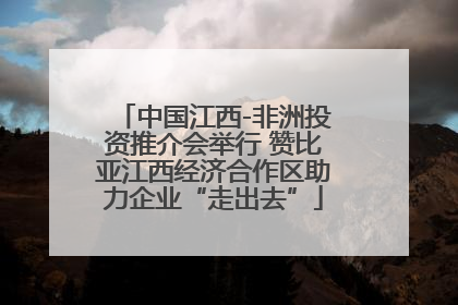 中国江西-非洲投资推介会举行 赞比亚江西经济合作区助力企业“走出去”